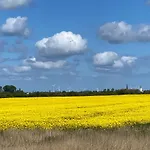 Rosengarten Auf Der Sonneninsel *