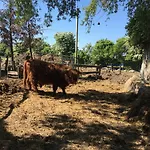 Rosengarten Auf Der Sonneninsel شقة