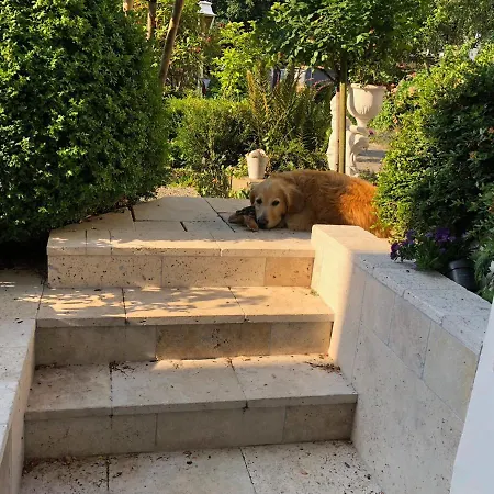 Rosengarten Auf Der Sonneninsel Apartment