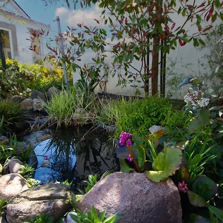 Rosengarten Auf Der Sonneninsel * Fehmarn