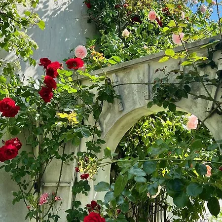 Rosengarten Auf Der Sonneninsel Apartment