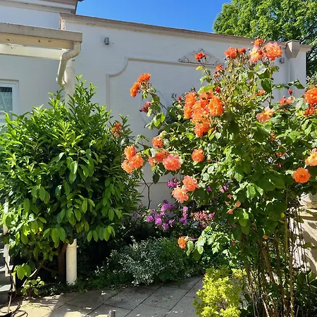 Rosengarten Auf Der Sonneninsel Apartment Fehmarn