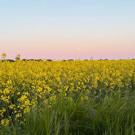 Apartamento Rosengarten Auf Der Sonneninsel Fehmarn