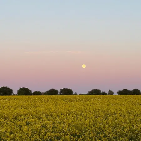 Apartamento Rosengarten Auf Der Sonneninsel *