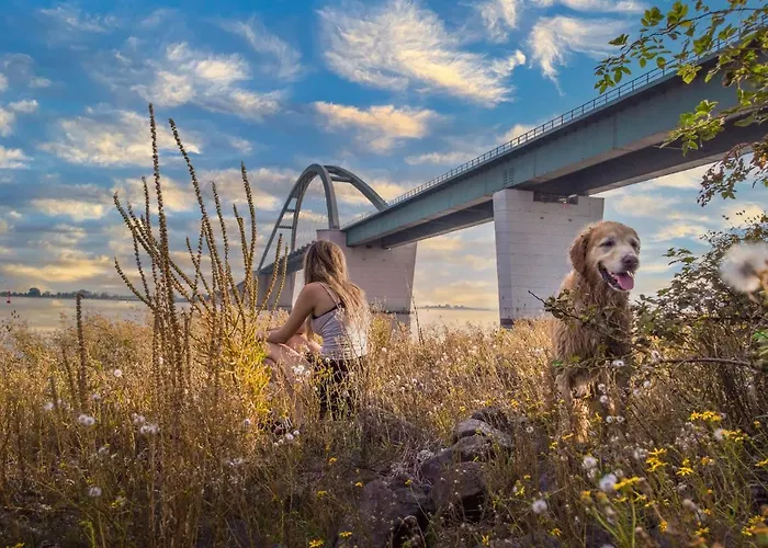 Rosengarten Auf Der Sonneninsel *