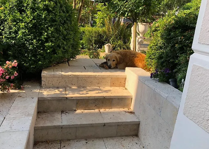 Rosengarten Auf Der Sonneninsel Apartamento