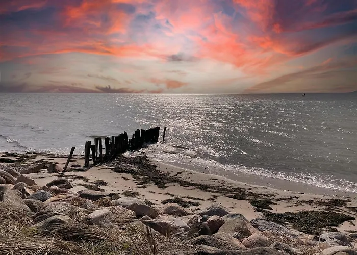Rosengarten Auf Der Sonneninsel Appartement Fehmarn