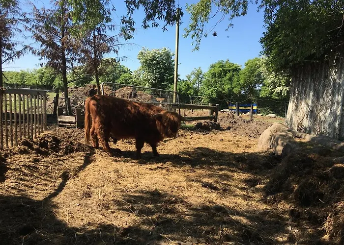 Rosengarten Auf Der Sonneninsel شقة