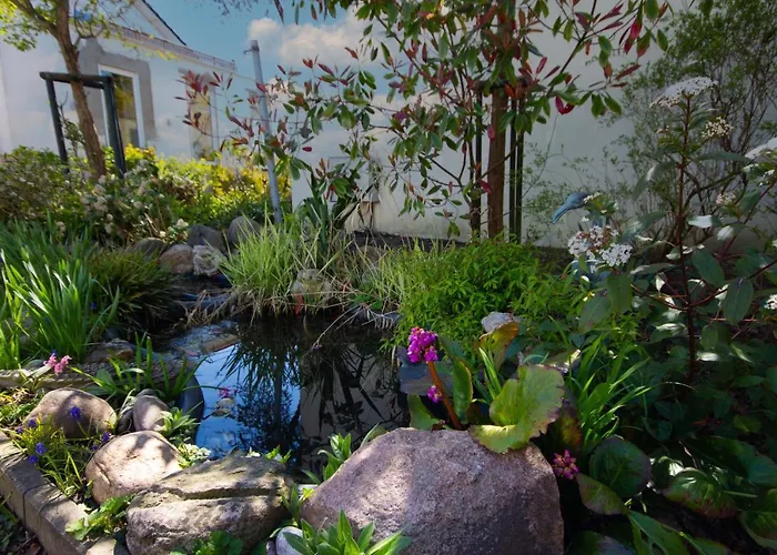 Rosengarten Auf Der Sonneninsel * Fehmarn