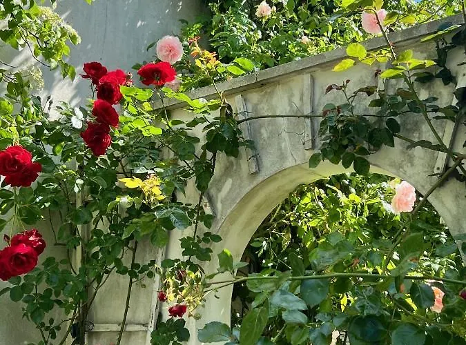 Rosengarten Auf Der Sonneninsel Appartement