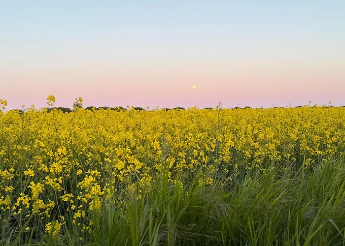 Appartement Rosengarten Auf Der Sonneninsel Fehmarn