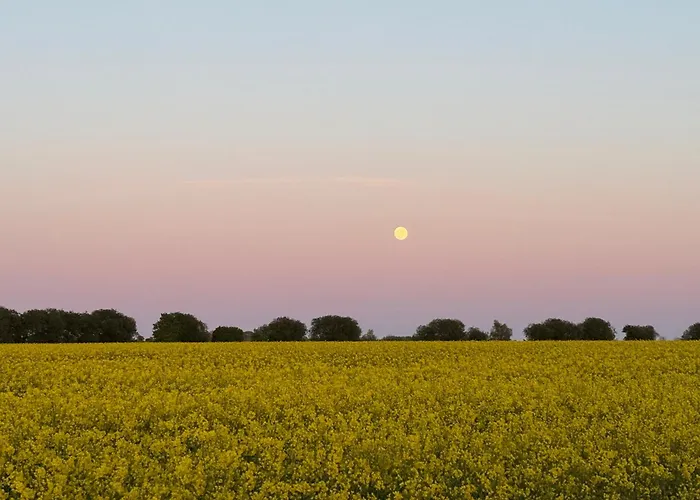 شقة Rosengarten Auf Der Sonneninsel *